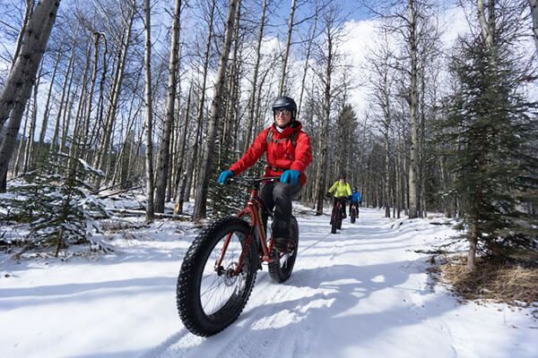 Kananaskis Fat Bike Frozen Waterfall Tour, Alberta